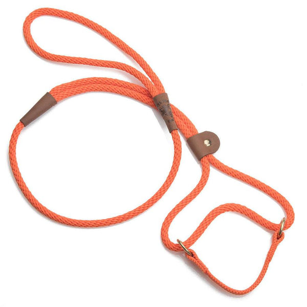Mendota Pet Collier et laisse martingale pour chien Small Martingale Slip Walker, Orange