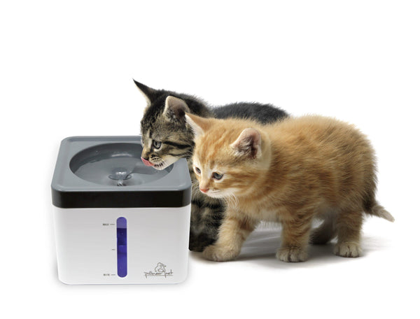 Pioneer Pet Plastic Vortex Fountain for Pets, White, Mini