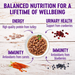Wellness Healthy Indulgence Morsels with Turkey & Duck in Savory Sauce Grain-Free Wet Cat Food Pouches