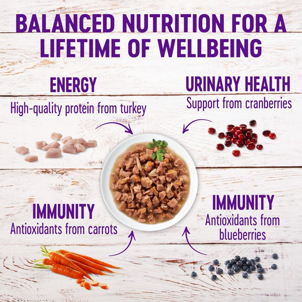 Wellness Healthy Indulgence Morsels with Turkey & Duck in Savory Sauce Grain-Free Wet Cat Food Pouches