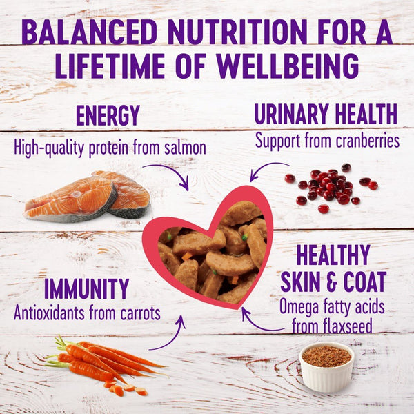 Wellness Complete Health Sliced Salmon Entree Wet Cat Food Cans