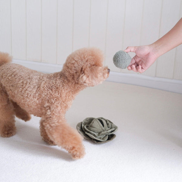 Lambwolf Collective Jouet Chou Pop pour chiens, Fern