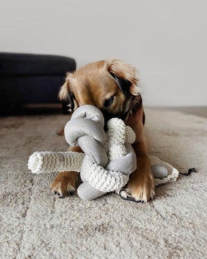 Lambwolf Collective Jouet pour chien Nou, Crème