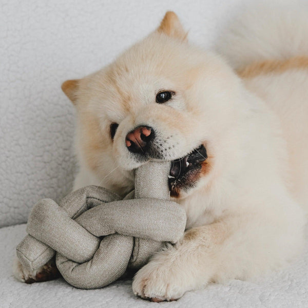 Lambwolf Collective Jouet pour chien Nou, Gris