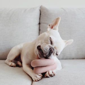 Lambwolf Collective Jouet pour chien NouNou, Cornouiller