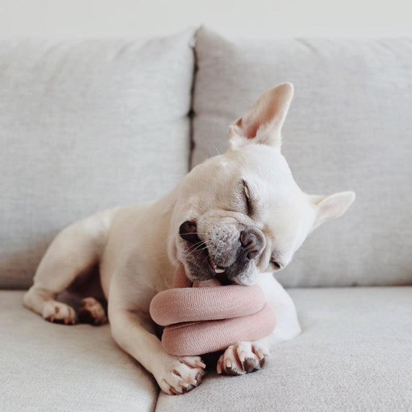 Lambwolf Collective Jouet pour chien NouNou, Cornouiller