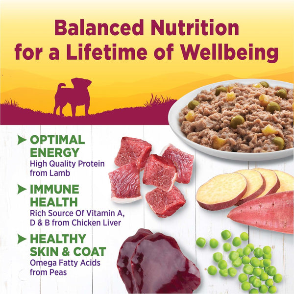 Wellness Petite Entrées Casserole avec agneau rôti, pois et patates douces blanches Sans céréales nourriture humide pour chiens