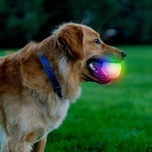 Nite Ize GlowStreak Wild Disc-O LED Ball Dog Toy