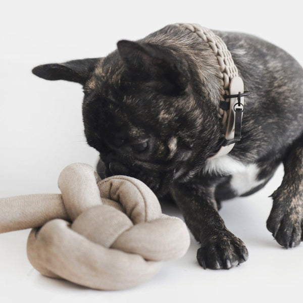 Lambwolf Collective Jouet pour chien et chat NouNou, Beige