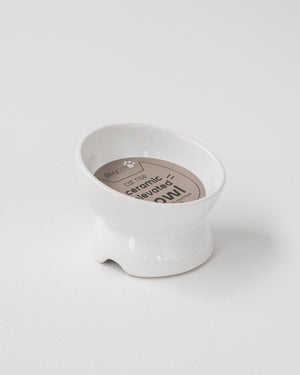 Dexypaws Ceramic Elevated Cat Bowl, White