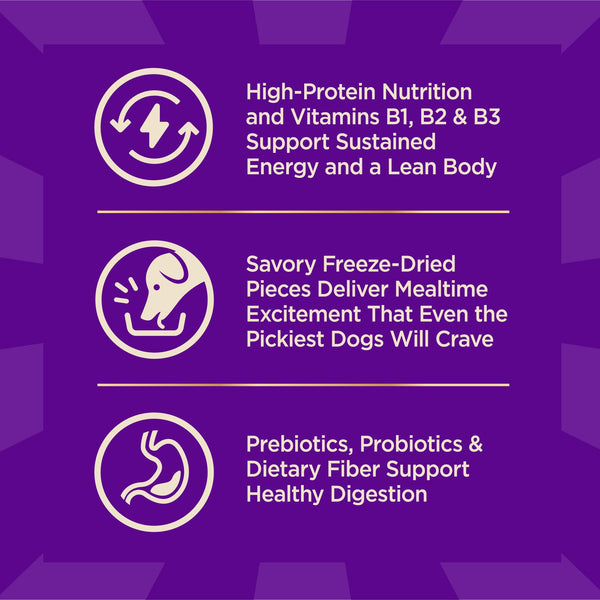 Wellness CORE+ Original Turkey & Chicken Grain-Free Freeze-Dried Pieces Dry Dog Food