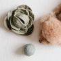 Lambwolf Collective Jouet Chou Pop pour chiens, Fern