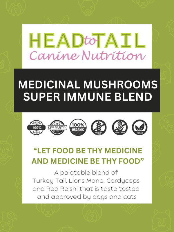 Head to Tail Canine Nutrition Mélange Super Immunité Champignons médicinaux complément pour chiens