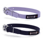 Smoochy Poochy Polyvinyl Buckle Style Dog Collar, Navy