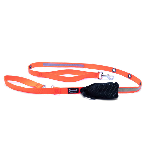 Smoochy Poochy Laisse réfléchissante mains libres en nylon pour chien, Orange
