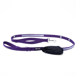 Smoochy Poochy Nylon Hands-Free Reflective Dog Leash, Purple