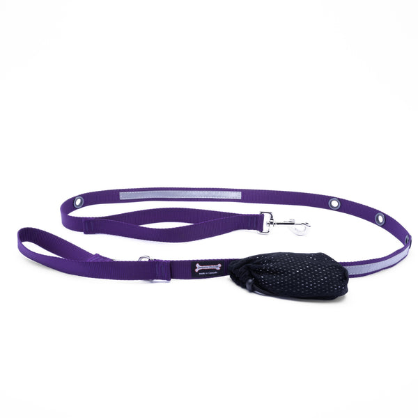 Smoochy Poochy Nylon Hands-Free Reflective Dog Leash, Purple