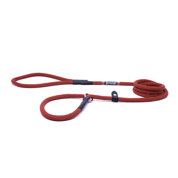 Smoochy Poochy Rope Slip Leash with Safety for Dogs, Red