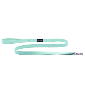 Smoochy Poochy Polyvinyl Waterproof Regular Style Dog Leash, Aqua
