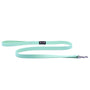 Smoochy Poochy Polyvinyl Waterproof Regular Style Dog Leash, Aqua