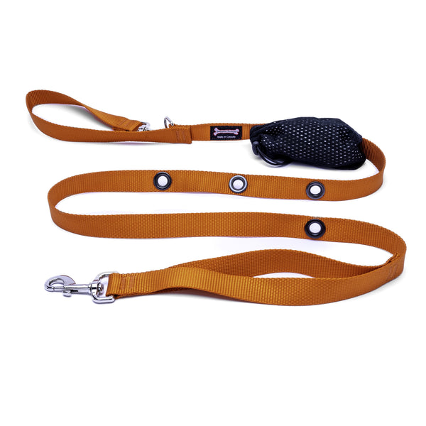 Smoochy Poochy Nylon Hands-Free Dog Leash, Pumpkin