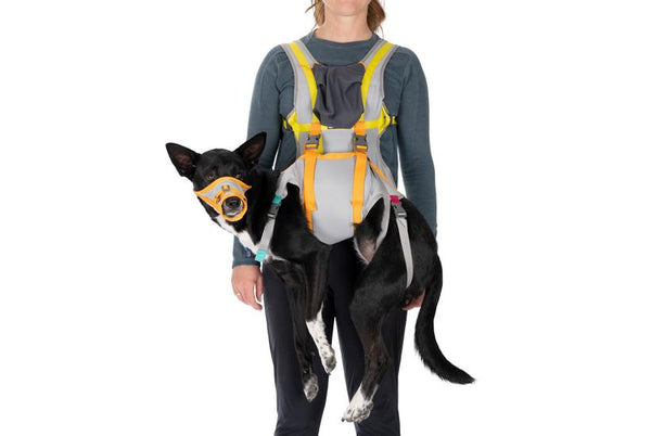 Ruffwear Kit d'Évacuation BackTrak pour Chien, Gris Cloudburst