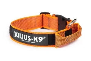 Julius-K9 Collier Couleur & Gris avec Poignée, Fermeture de Sécurité & Interchangeable pour Chiens, Orange UV