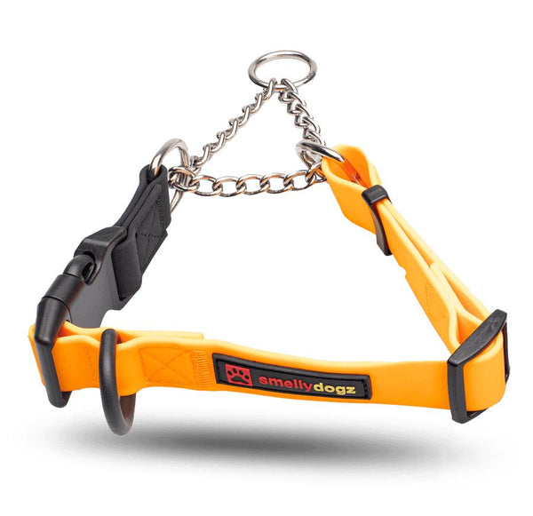 smellydogz Collier Martingale, orange