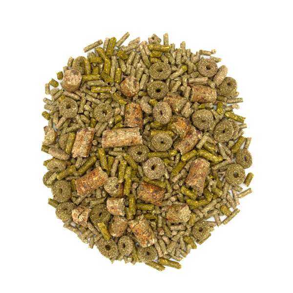 Oxbow Forage Wise Nourriture Adulte pour Cochon d'Inde