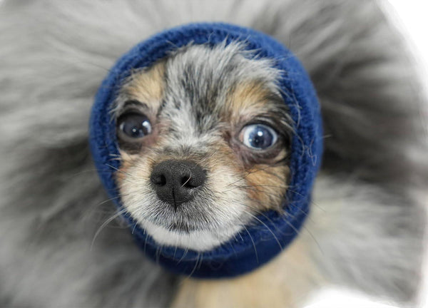 Happy Hoodie The Original Calming Band for Dogs & Cats, Blue