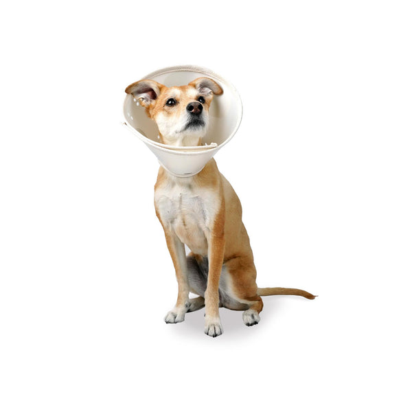 Calm Paws Earth Collar Recovery Collar for Dogs