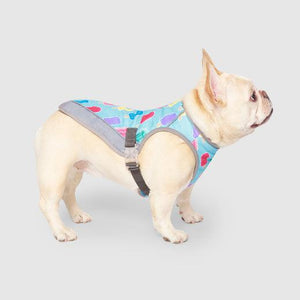 Canada Pooch Chill Seeker Dog Cooling Vest, Popsicles