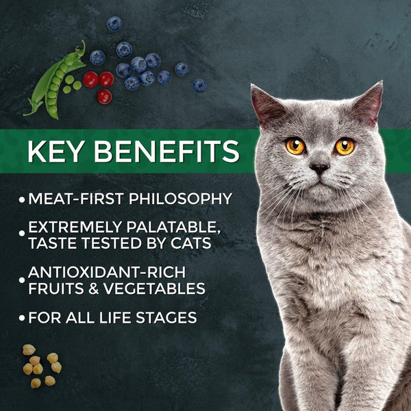 Fussie Cat Market Fresh Salmon & Chicken Recipe Dry Cat Food