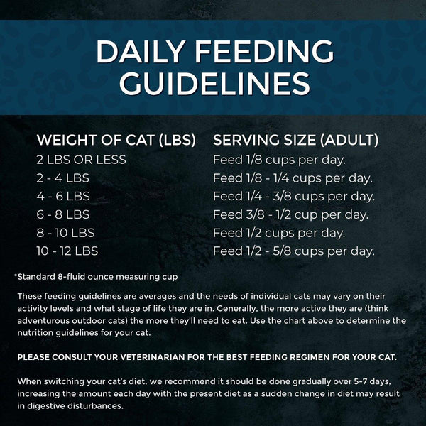 Fussie Cat Market Fresh Salmon Recipe Dry Cat Food