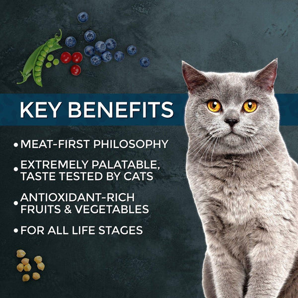 Fussie Cat Market Fresh Salmon Recipe Dry Cat Food