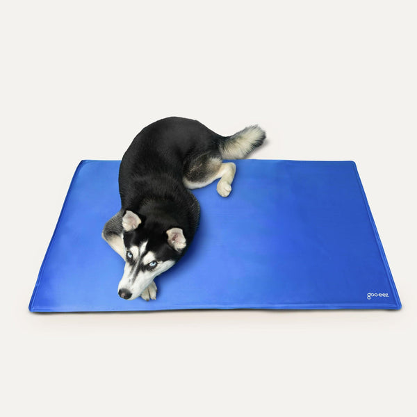 Goo-eez Tapis rafraîchissant en gel pour animaux