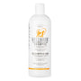Wellmark Chlorhexidine Dog & Cat Shampoo
