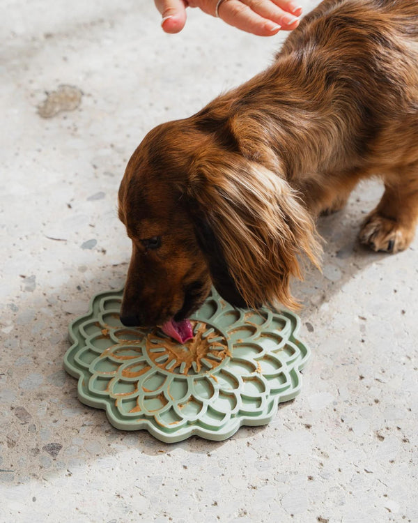 Dexypaws Blossom Flower Enrichment Licking Mat Dog & Cat Slow Feeder