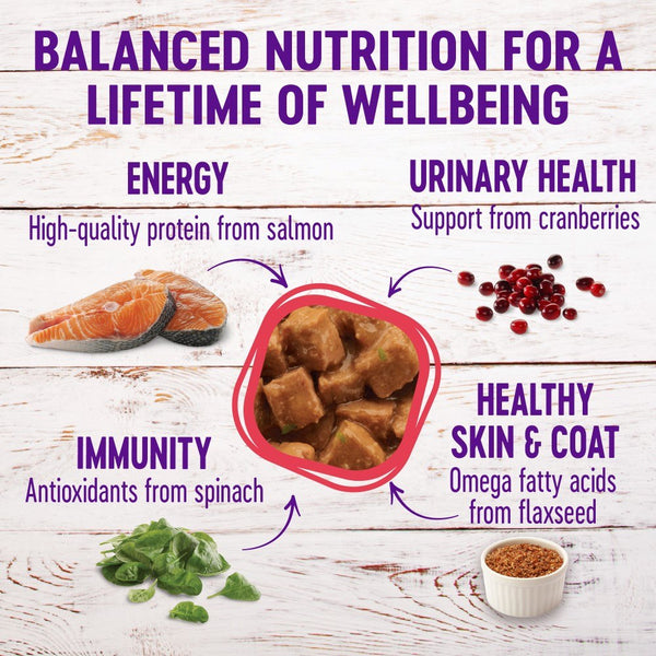 Wellness Complete Health Grain-Free Morsels Salmon Dinner Wet Cat Food Cans