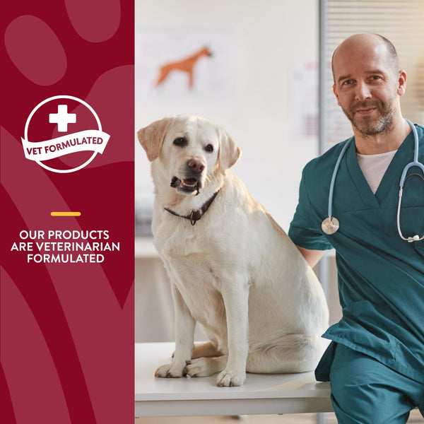NaturVet Bladder Support Plus Cranberry Chewable Tabs Dog Supplement, 60-count