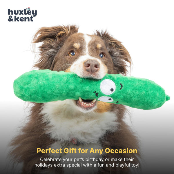 Huxley & Kent Power Plush Fetchies Dell Pickle Dog Toy