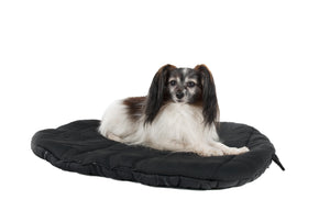 Back on Track Travel Mattress Dog Bed