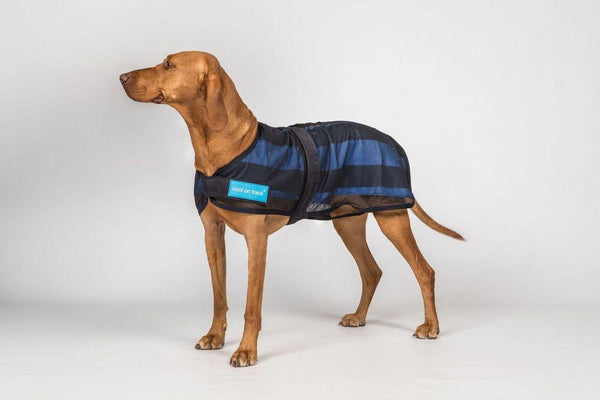 Back on Track Manteau rafraîchissant pour chien, bleu marine