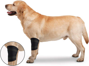 ZenPet Orthowraps Elbow for Dogs