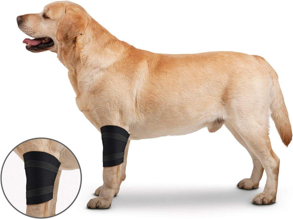 ZenPet Orthowraps Coudière pour chiens