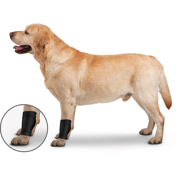 ZenPet Orthowraps Ligament for Dogs