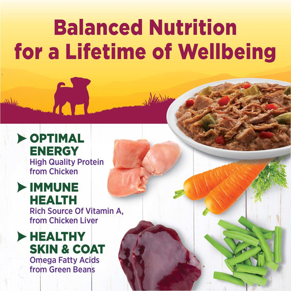 Wellness Petite Entrees Shredded Medley with Roasted Chicken, Beef, Green Beans & Red Peppers Grain-Free Wet Dog Food
