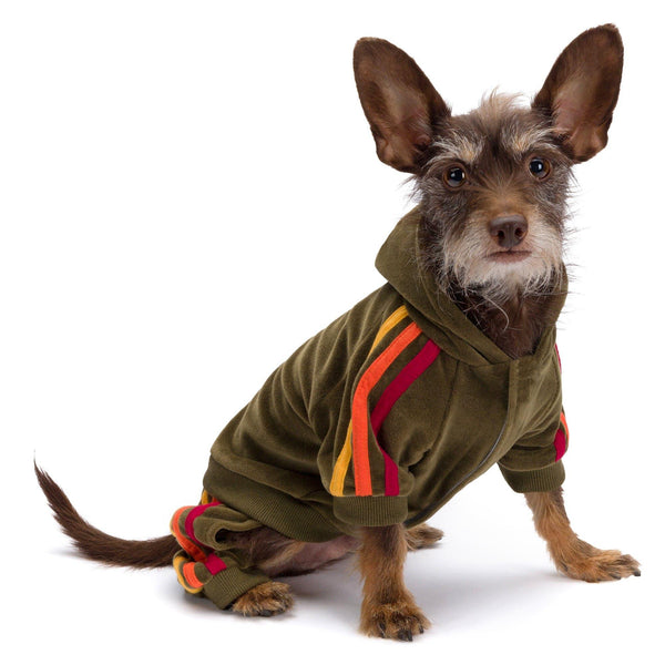 fabdog Jogging en velours pour chiens, Olive