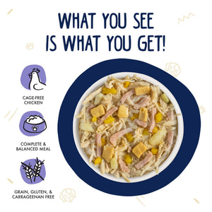 Weruva Classic Dog Bed & Breakfast with Chicken, Egg, Pumpkin & Ham in Gravy Wet Dog Food Can