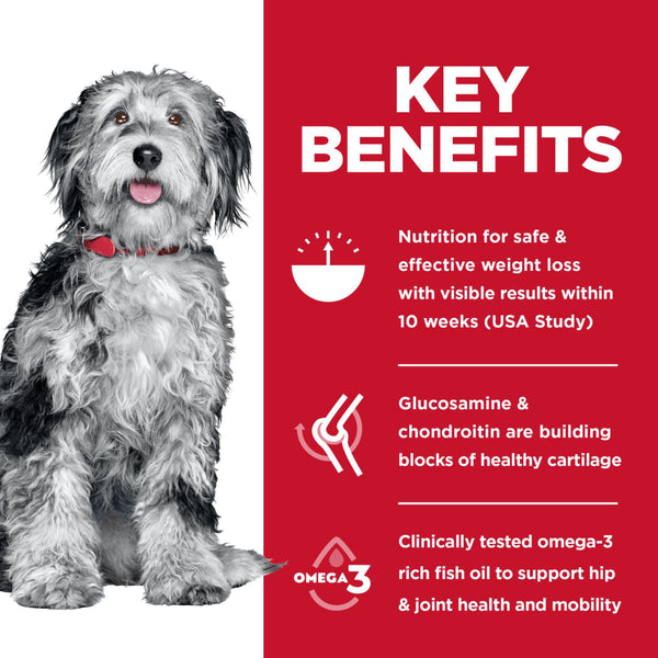 Hill's Science Diet Adult Perfect Weight & Joint Support Chicken & Brown Rice Dry Dog Food